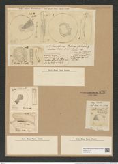Coscinodiscus patina Ehr. (de-Toni-Nr.: Genus 202, Species 4991) Zeichnungen Sammlung Grunow Nr. 8707 (NHMW-BOT-W0378275)